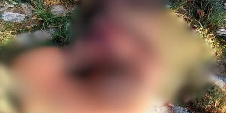 Homem é encontrado morto com ferimentos na cabeça em via pública de Parnaíba