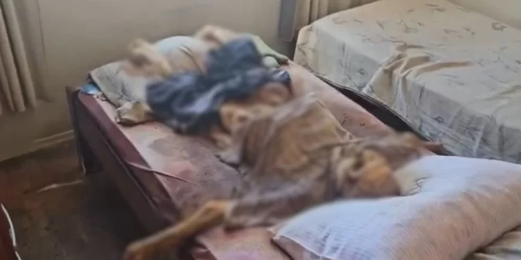 Irmãos são presos por esconder cadáver do pai por 6 meses em quarto