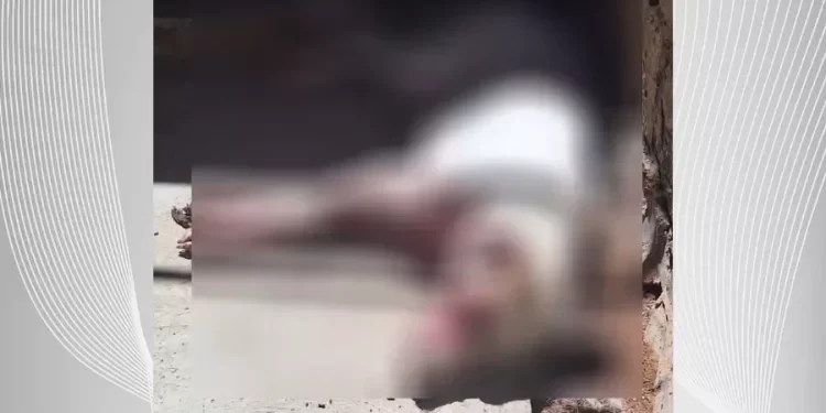 Pai mata o próprio cachorro para defender filho de ataque do animal na cidade de Barras no Piauí