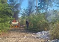 Criminosos roubam carro de motorista de app e ateiam fogo em matagal em Teresina