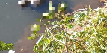 Corpo de homem é encontrado boiando no Rio Parnaíba em Teresina