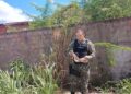 Cobra é encontrada em residência e resgatada pela Polícia Ambiental em Teresina