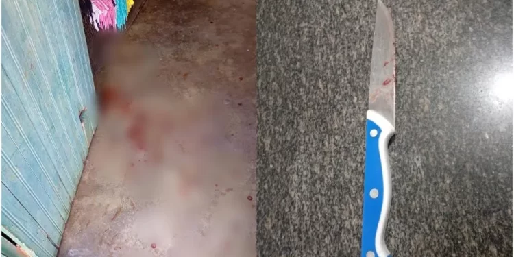 Homem é esfaqueado no rosto e esposa é presa suspeita do crime em Pedro II