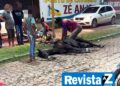 Égua morre de forma repentina enquanto levava vaqueiro em rua de Esperantina