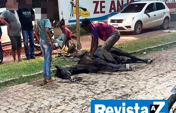Égua morre de forma repentina enquanto levava vaqueiro em rua de Esperantina