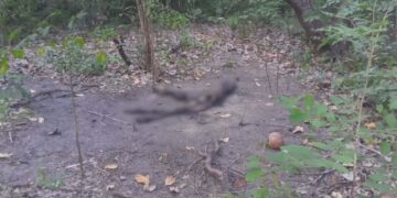 Restos mortais são encontrados em avançado estado de decomposição em Teresina