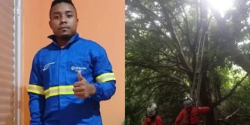 Maranhense desaparecido desde março é encontrado em cima de árvore na Bahia
