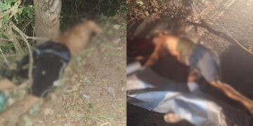 Tragédia na PI-112: três pessoas morrem em acidente na saída de União