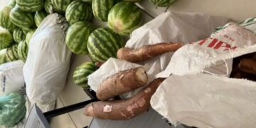 José de Freitas recebe alimentos do PAA por meio de emenda do deputado Átila Lira