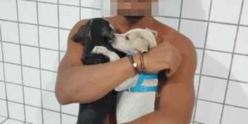Homem é preso após ser flagrado tentando afogar filhotes de cachorro em mar no Piauí