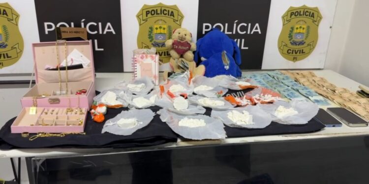 Casal é preso com cocaína escondida dentro de ursos de pelúcia em Teresina