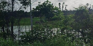 Homem morre afogado ao tentar atravessar o rio Surubim, em Campo Maior
