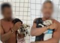Filhotes são colocados para adoção após dono tentar afogá-los no mar em Parnaíba