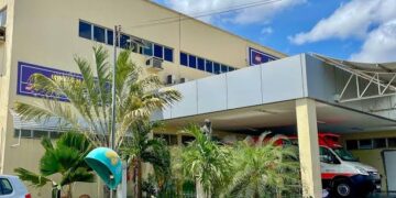 Crianças são internadas em Teresina após comerem carambolas em terreno