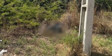 Corpo carbonizado é encontrado em terreno baldio na zona Leste de Teresina
