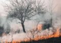 A partir desta sexta (15), quem colocar fogo no Piauí pode ser multado e até preso