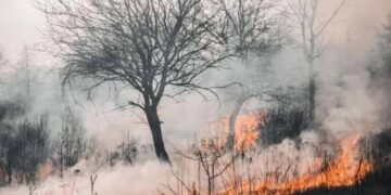 A partir desta sexta (15), quem colocar fogo no Piauí pode ser multado e até preso