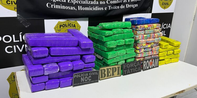 Polícia apreende mais de 100 tabletes de maconha durante operação em Picos
