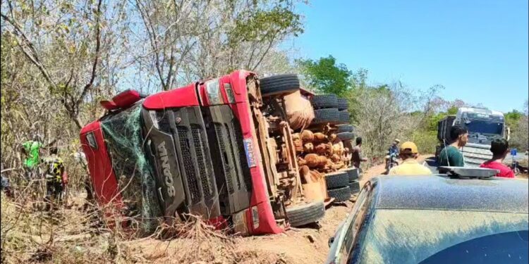 Caminhão com 100 bois tomba e deixa animais mortos na PI-257, no Sul do Piauí