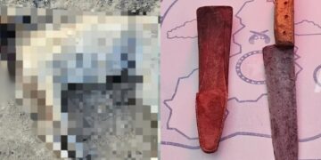 Homem é preso suspeito de matar cachorro a facadas no interior do Piauí