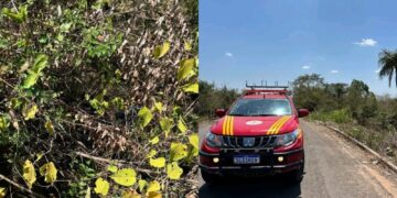 Mulher morre após cair de motocicleta de ponte na PI-111, entre Piripiri e Barras