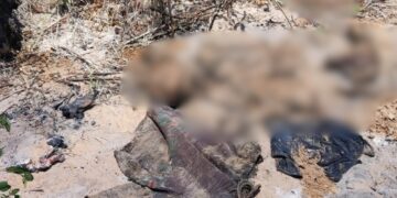 Ossada humana é encontrada em cova no bairro Morro do Carcará, em Parnaíba