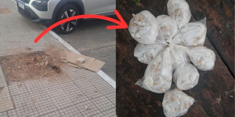 Polícia Militar apreende 200 porções de crack enterradas em praça de Teresina