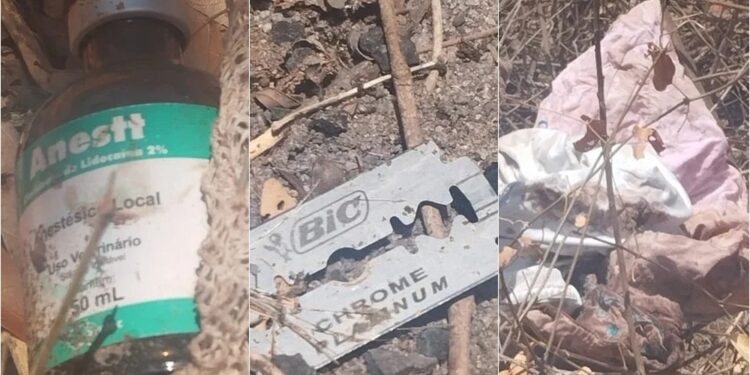 Restos de feto são achados às margens da BR em cidade do Piauí