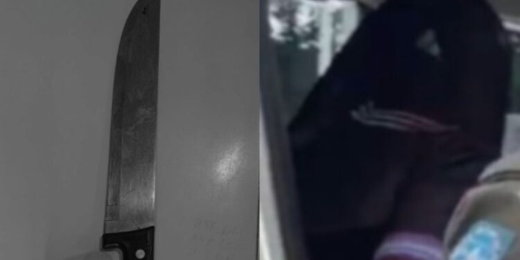 Sobrinho mata tio a facadas e deixa vísceras expostas em Pedro II