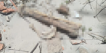 Ossada é encontrada na praia Peito de Moça, em Luís Correia
