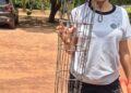 Polícia Militar resgata aves silvestres e cutias em José de Freitas