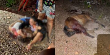 Acidente entre caminhão e carroça mata homem e fere esposa e filha no Piauí