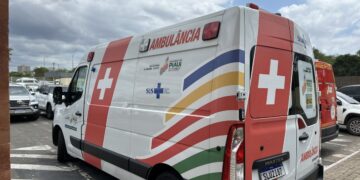 Idoso de 85 anos é atropelado por moto e fica em estado grave na BR-222, no Piauí