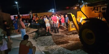 Boi é resgatado após cair em fossa no litoral do Piauí