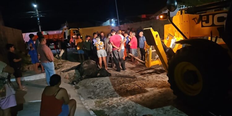 Boi é resgatado após cair em fossa no litoral do Piauí