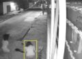 Mulher é suspeita de matar próprio irmão após agressão verbal à mãe em Teresina