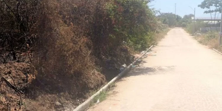 Feto é encontrado em matagal na zona Leste de Teresina