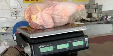 Lavar o frango cru antes do preparo pode fazer mal à saúde; entenda