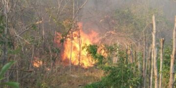 Homem morre queimado após fogo se espalhar em roça no interior do Piauí
