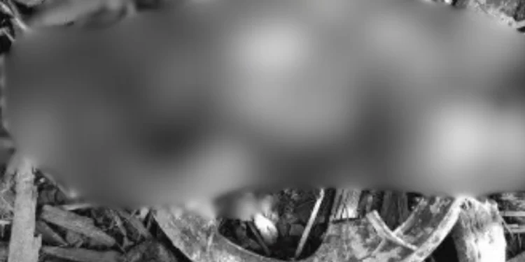 Recém-nascido é encontrado morto após ter cabeça devorada por animais no interior do Piauí