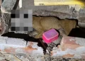 Cadela morre após ser abandonada e amarrada sem água e comida no Piauí