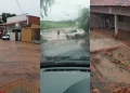Chuva provoca enchentes, alaga casas e mata animais em Bom Jesus