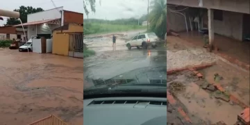 Chuva provoca enchentes, alaga casas e mata animais em Bom Jesus