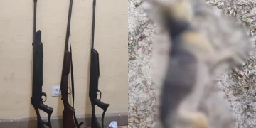 Homem é preso por porte ilegal e maus-tratos após matar cachorro em Cabeceiras