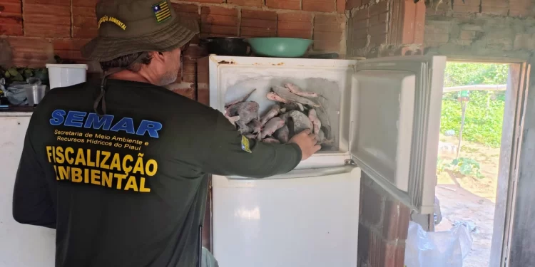 Pesca ilegal é flagrada no Piauí; suspeito é preso e 66kg de peixe são apreendidos