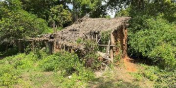 Crianças desaparecidas: principal pista até o momento é confirmada por cães farejadores no Maranhão