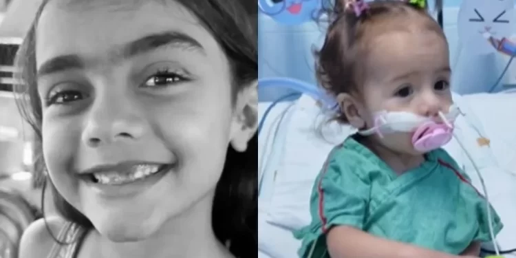 Coração de criança que morreu em Teresina é doado a bebê no Ceará