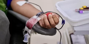 Projeto de lei propõe substituir multa por doação de sangue no Piauí; entenda