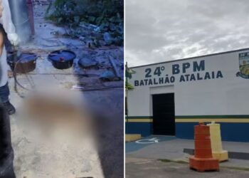 Cachorro é encontrado morto preso por corrente e tutor é levado à Central de Flagrantes no Piauí