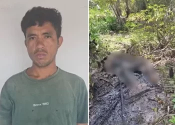 Corpo carbonizado com sinais de violência é encontrado no interior do Piauí